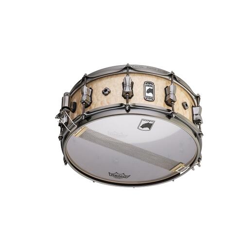 Image 4 - Mapex Black Panther PEGASUS Maple/Walnut 14"x5.5" Snare Drum BPNMW4550LXN